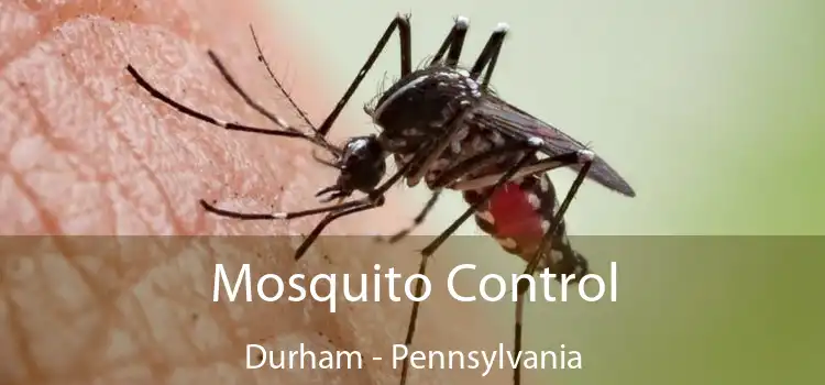 Mosquito Control Durham - Pennsylvania