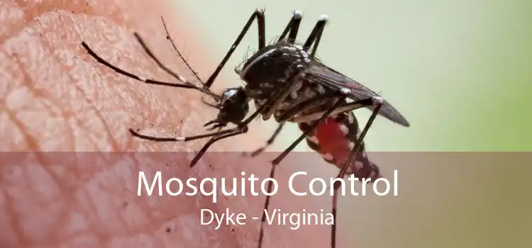 Mosquito Control Dyke - Virginia