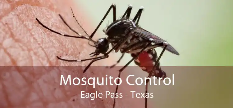 Mosquito Control Eagle Pass - Texas