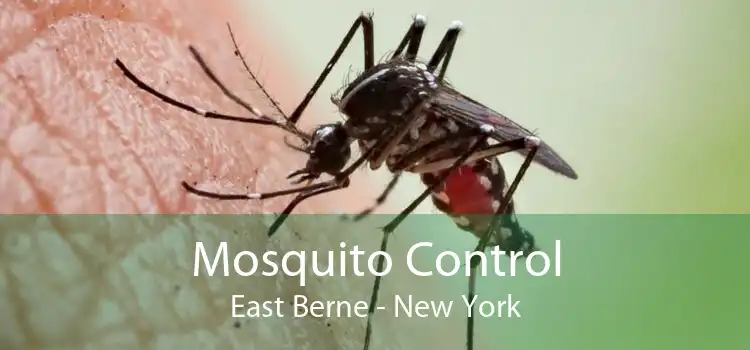 Mosquito Control East Berne - New York