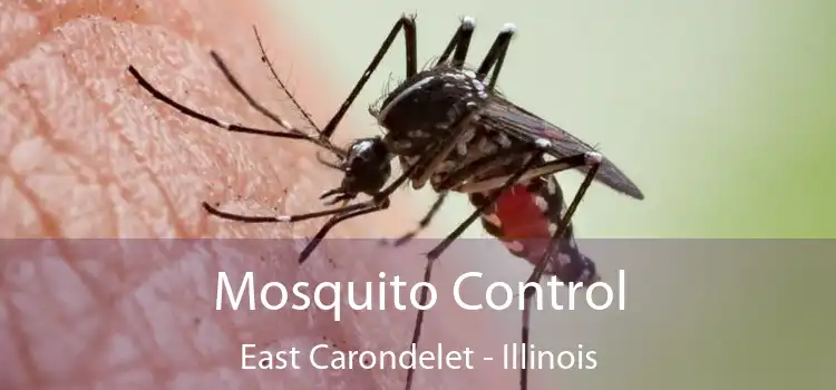 Mosquito Control East Carondelet - Illinois