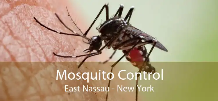 Mosquito Control East Nassau - New York