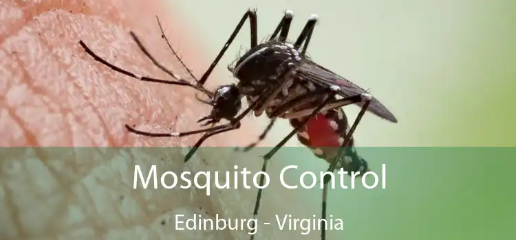 Mosquito Control Edinburg - Virginia