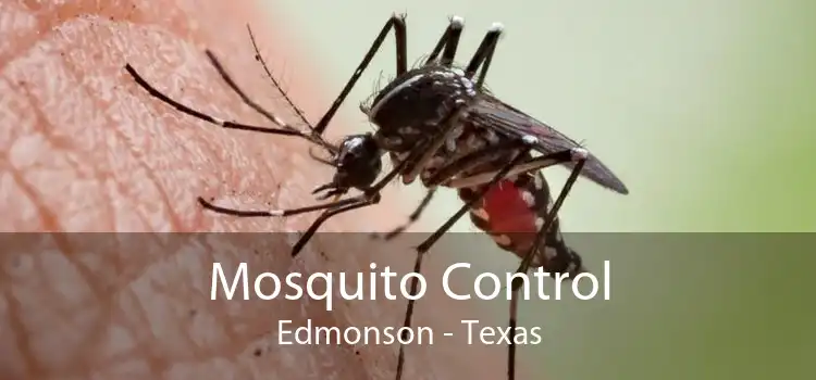 Mosquito Control Edmonson - Texas