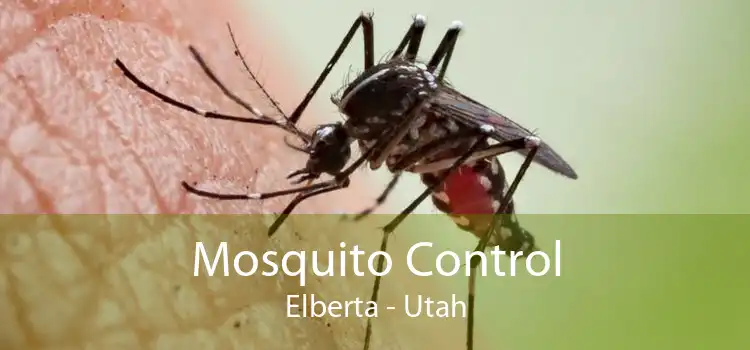 Mosquito Control Elberta - Utah