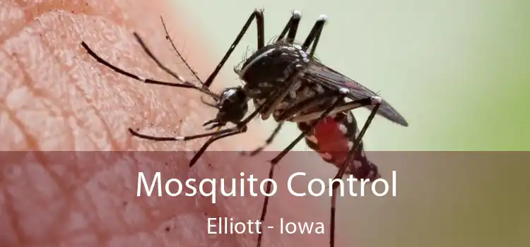 Mosquito Control Elliott - Iowa