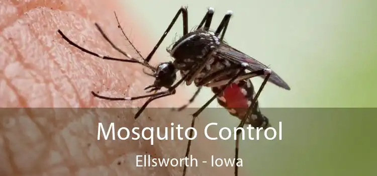 Mosquito Control Ellsworth - Iowa