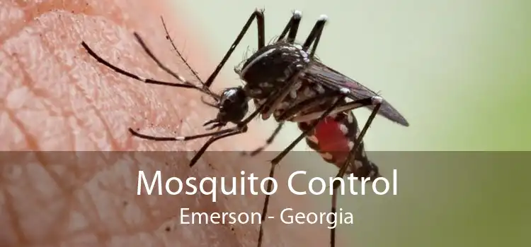 Mosquito Control Emerson - Georgia