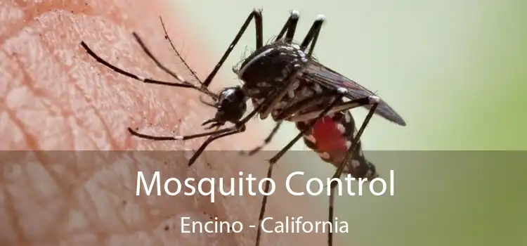 Mosquito Control Encino - California