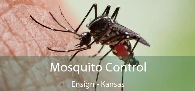 Mosquito Control Ensign - Kansas