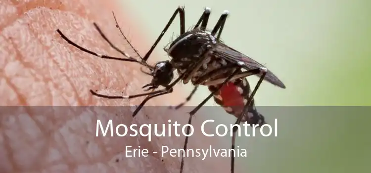 Mosquito Control Erie - Pennsylvania