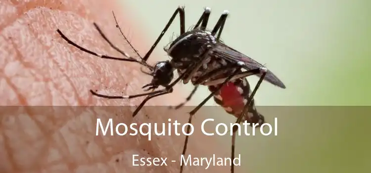 Mosquito Control Essex - Maryland