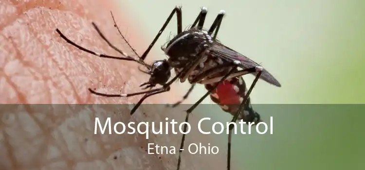 Mosquito Control Etna - Ohio