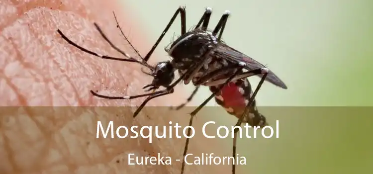 Mosquito Control Eureka - California