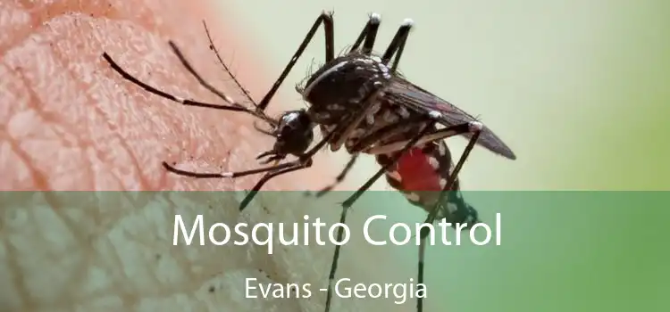 Mosquito Control Evans - Georgia