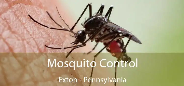 Mosquito Control Exton - Pennsylvania