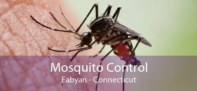 Mosquito Control Fabyan - Connecticut