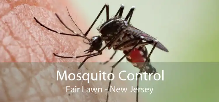 Mosquito Control Fair Lawn - New Jersey