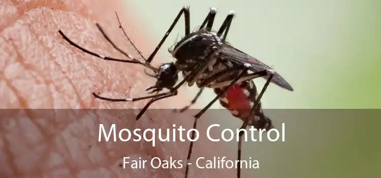 Mosquito Control Fair Oaks - California