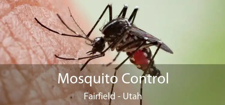 Mosquito Control Fairfield - Utah