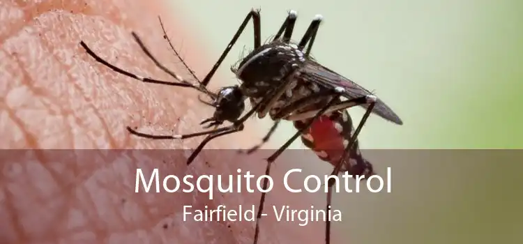 Mosquito Control Fairfield - Virginia