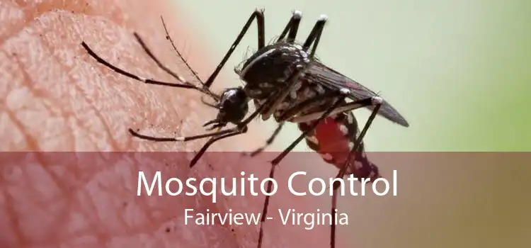 Mosquito Control Fairview - Virginia