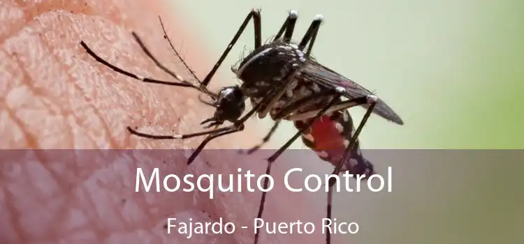 Mosquito Control Fajardo - Puerto Rico