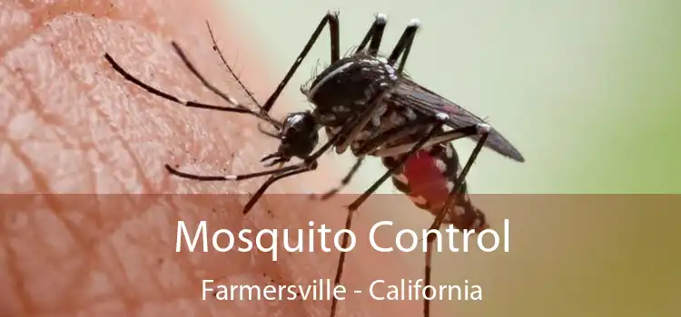 Mosquito Control Farmersville - California