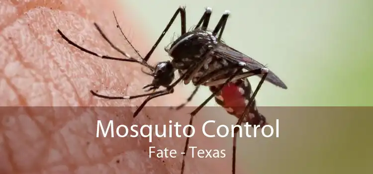 Mosquito Control Fate - Texas