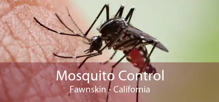 Mosquito Control Fawnskin - California