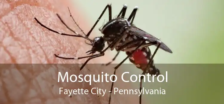 Mosquito Control Fayette City - Pennsylvania