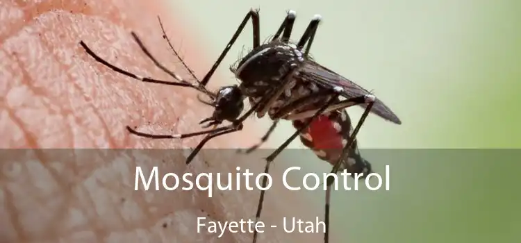 Mosquito Control Fayette - Utah