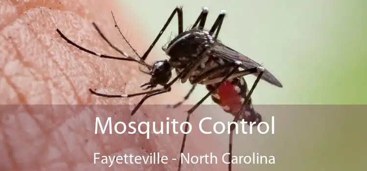 Mosquito Control Fayetteville - North Carolina