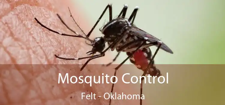 Mosquito Control Felt - Oklahoma