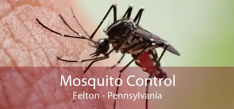 Mosquito Control Felton - Pennsylvania