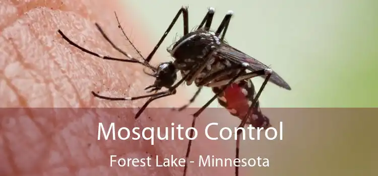 Mosquito Control Forest Lake - Minnesota