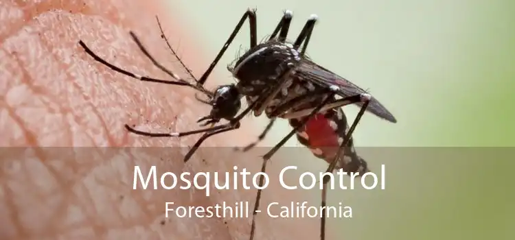 Mosquito Control Foresthill - California