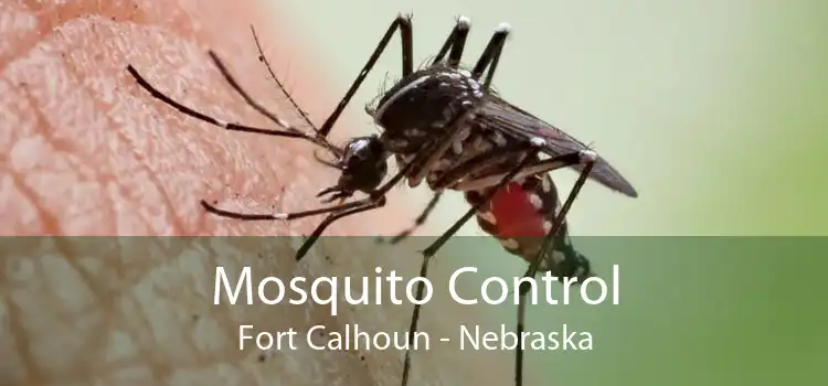 Mosquito Control Fort Calhoun - Nebraska