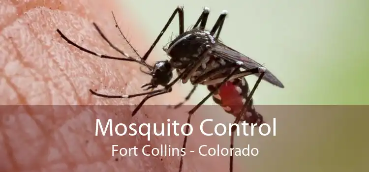 Mosquito Control Fort Collins - Colorado