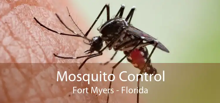 Mosquito Control Fort Myers - Florida