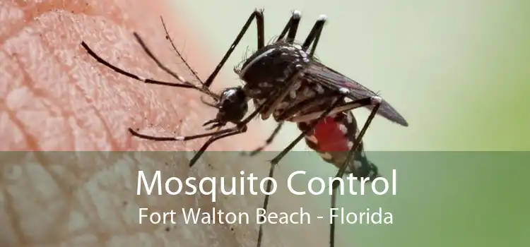 Mosquito Control Fort Walton Beach - Florida
