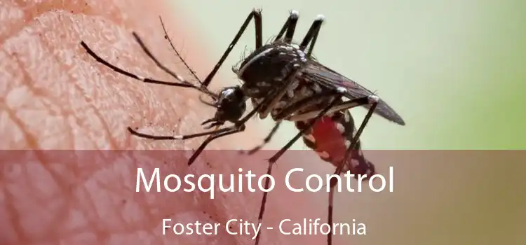 Mosquito Control Foster City - California