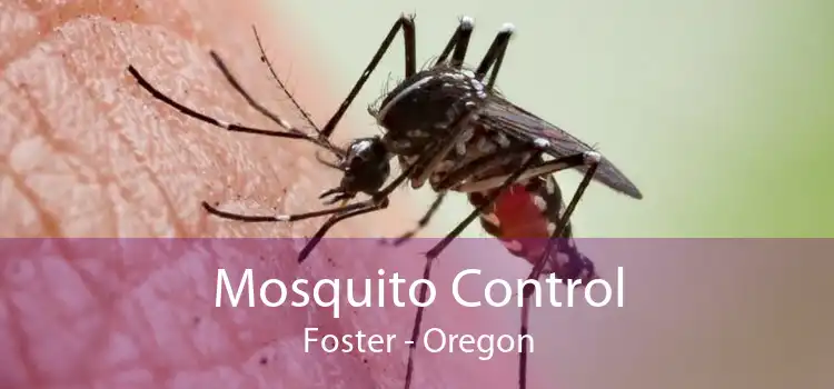 Mosquito Control Foster - Oregon