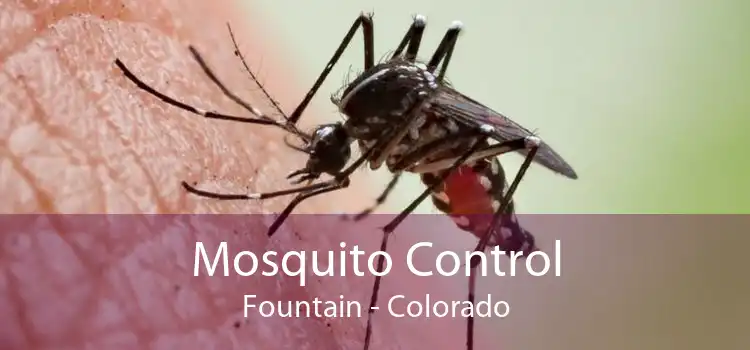 Mosquito Control Fountain - Colorado