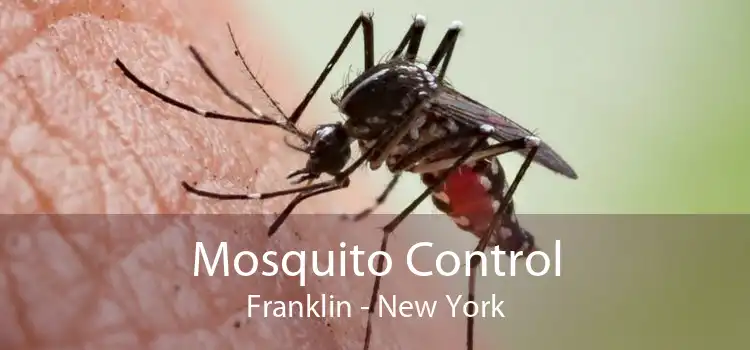 Mosquito Control Franklin - New York