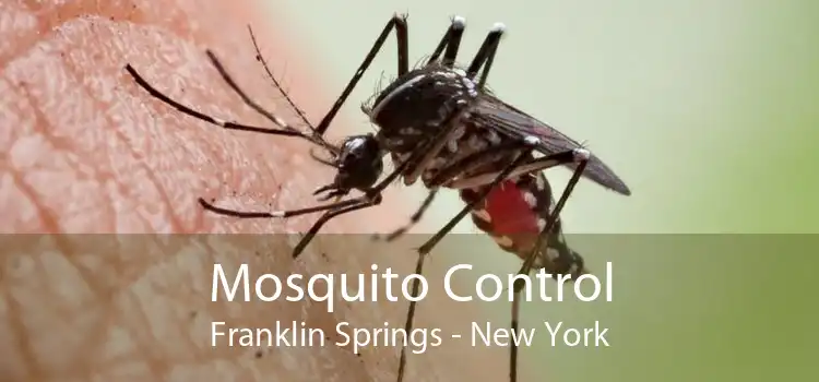 Mosquito Control Franklin Springs - New York