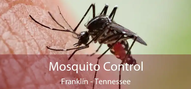 Mosquito Control Franklin - Tennessee