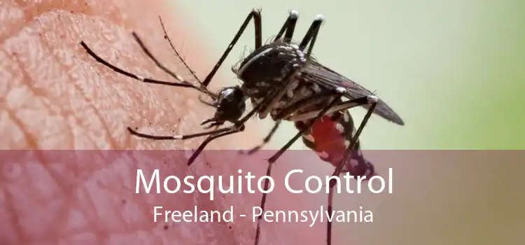 Mosquito Control Freeland - Pennsylvania
