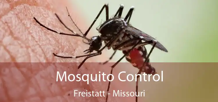 Mosquito Control Freistatt - Missouri