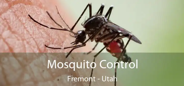 Mosquito Control Fremont - Utah